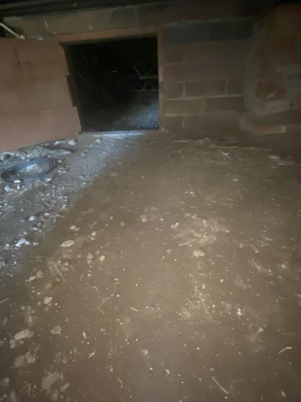Damp subfloor with raised moisture readings and staining, found during a defect investigation inspection in Winston Hills